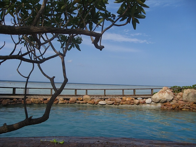 Poolside-view