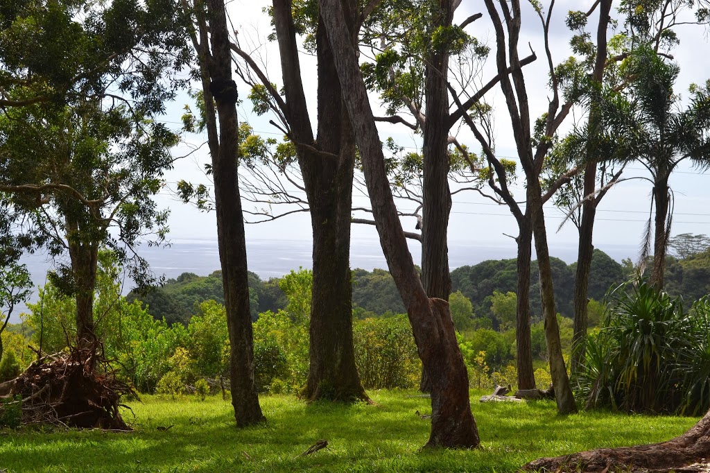 Where to Stop on the Road to Hana in Maui Hawaii | www.apassionandapassport.com