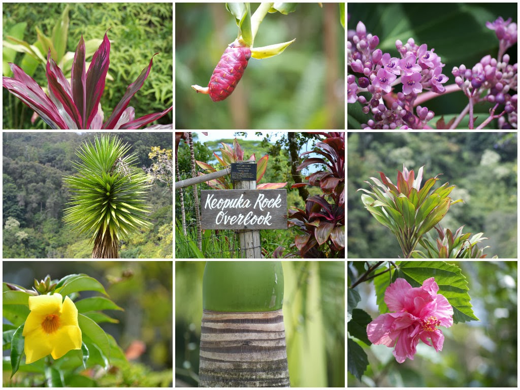 Where to Stop on the Road to Hana in Maui Hawaii | www.apassionandapassport.com