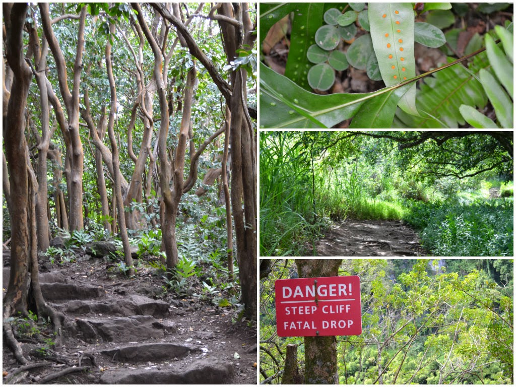 Where to Stop on the Road to Hana in Maui Hawaii | www.apassionandapassport.com