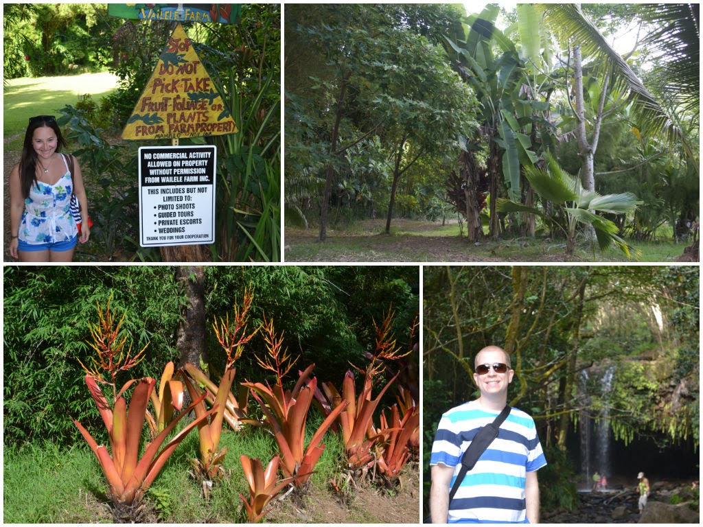 Where to Stop on the Road to Hana in Maui Hawaii | www.apassionandapassport.com