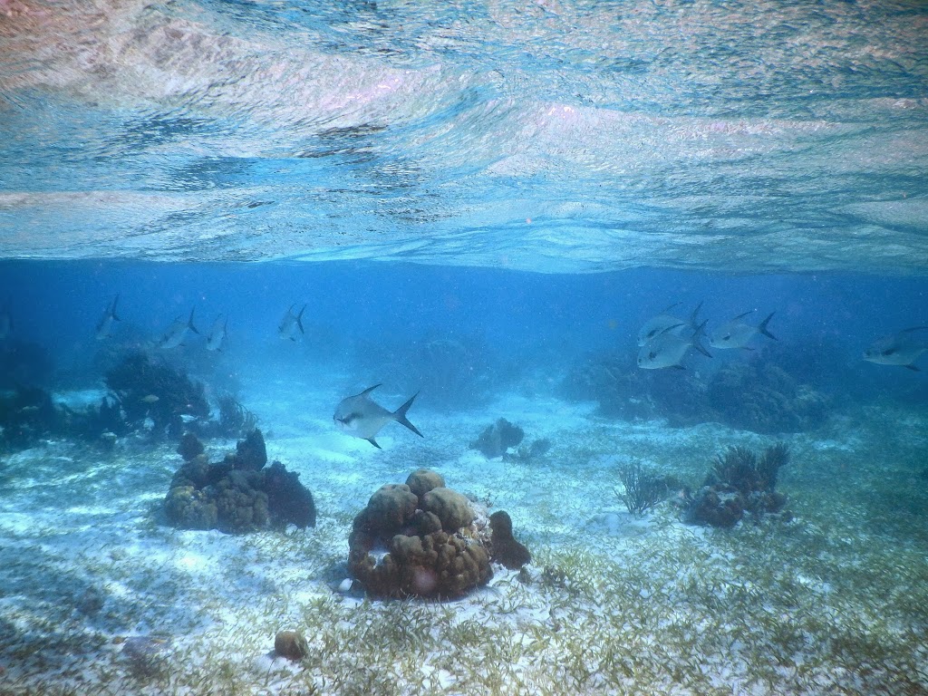 san pedro belize