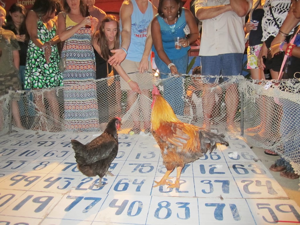 chickens san pedro belize