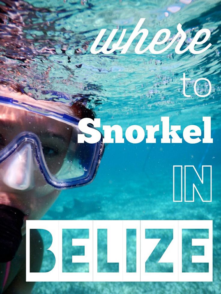 5 of the BEST spots to snorkel in Belize - all different wildlife! | www.apassionandapassport.com