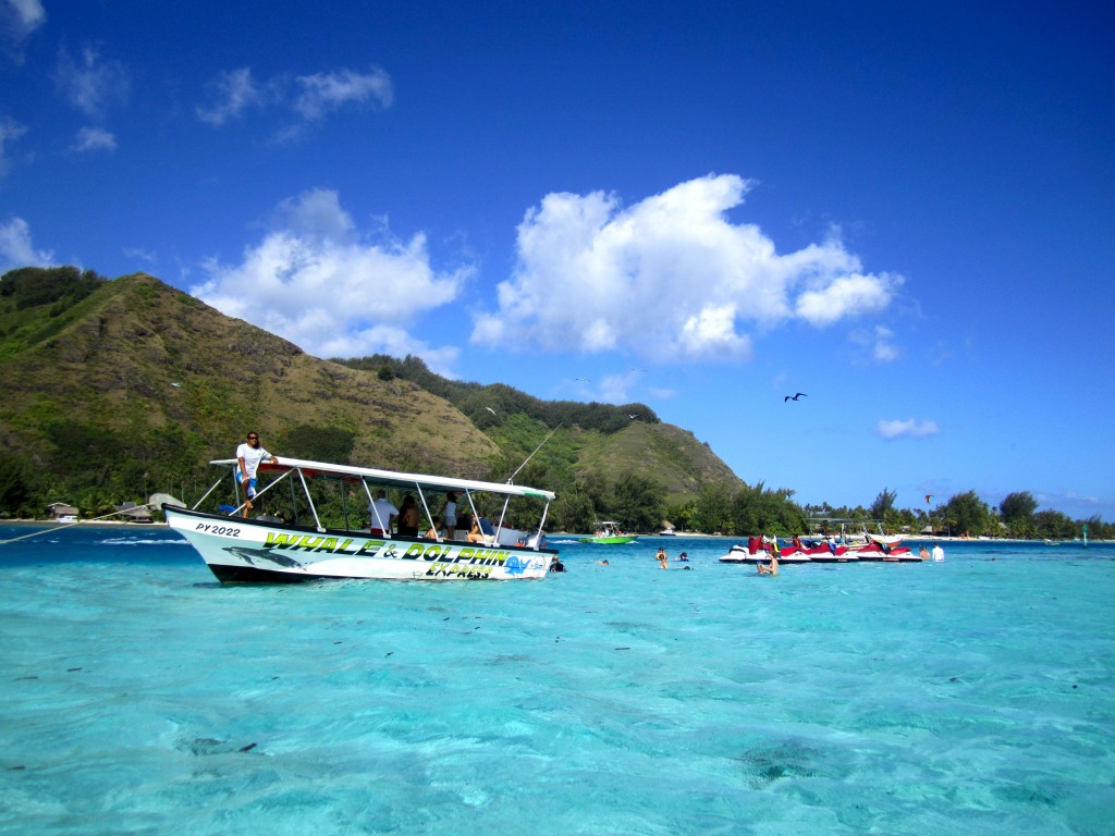 snorkeling cruise bora bora