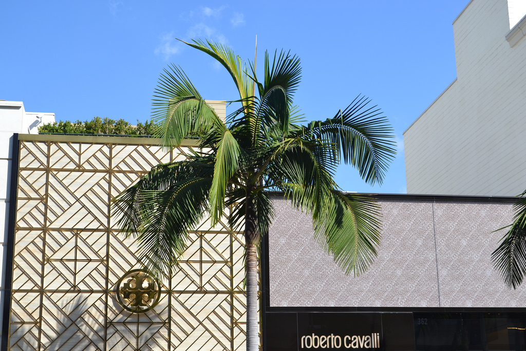 rodeo drive - tory burch