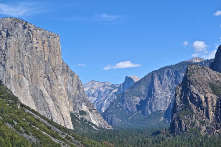 One Day In Yosemite National Park From San Francisco