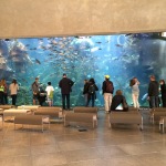 seattle aquarium