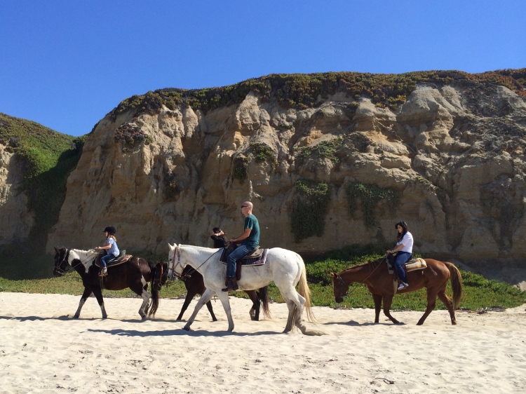 half moon bay guide