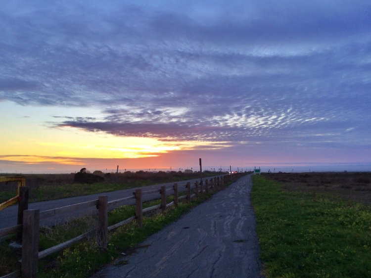 half moon bay guide