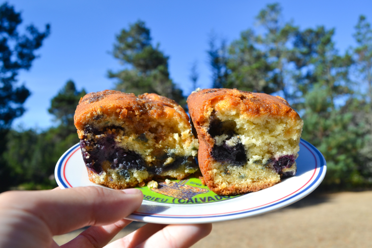 things to do in Mendocino airbnb muffins