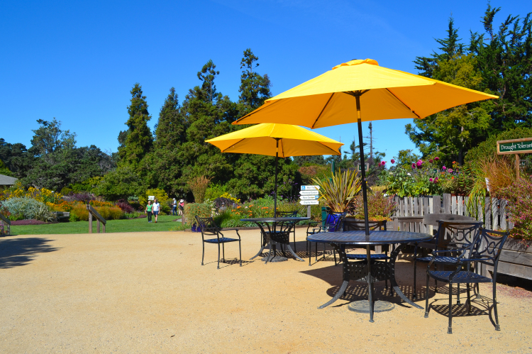 mendocino california botanical gardens