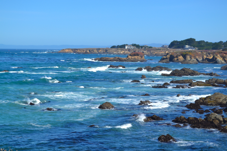 mendocino california botanical gardens