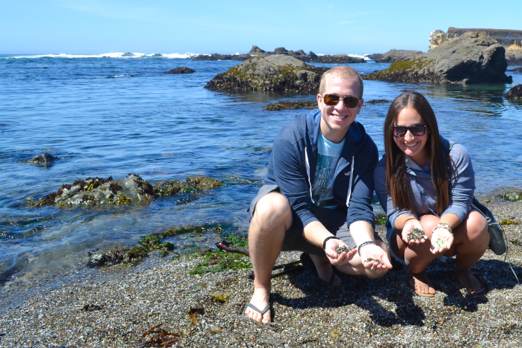 glass beach fort bragg