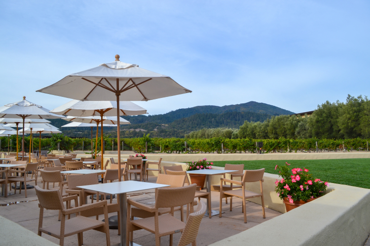 napa 10 Vineyards to Visit on Your Next Trip to Napa Valley | www.apassionandapassport.com october-61