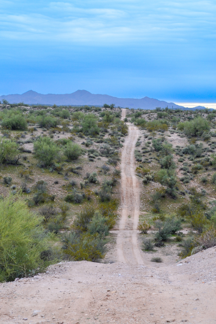 Off Roading in the Sonoran Desert with Pink Jeep Tours >> a fun filled morning in Scottsdale, Arizona | WWW.APASSIONANDAPASSPORT.COM