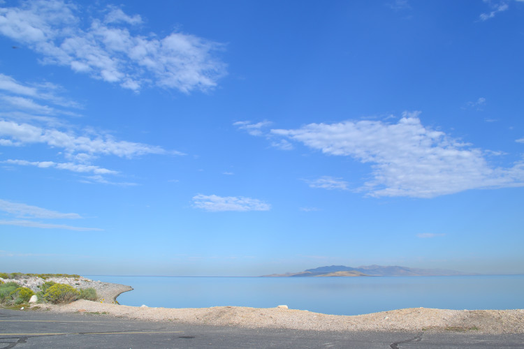 Things to do in Antelope Island State Park great salt lake