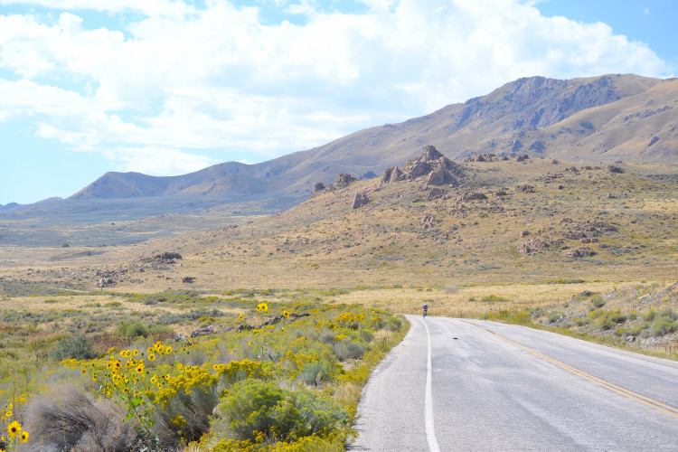 Antelope Island State Park 