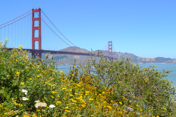 Best Places to See (and Photograph) the Golden Gate Bridge