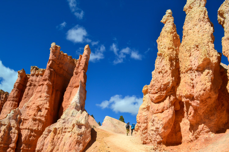 Hiking to the Hoodoos in Bryce Canyon National Park | www.apassionandapassport.com