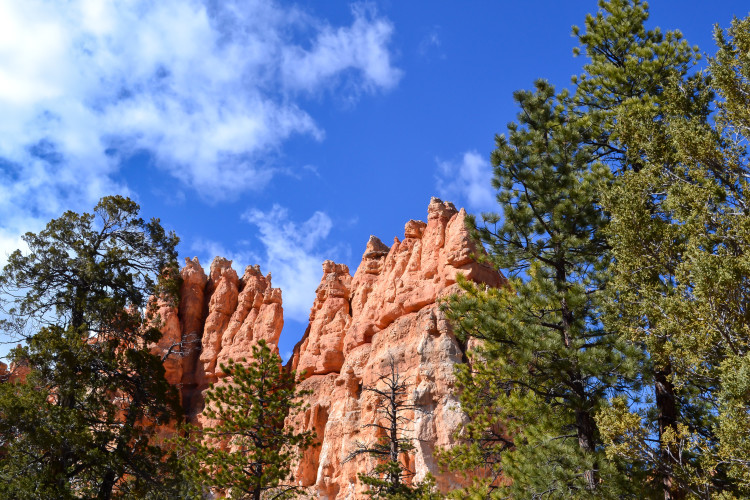 Hiking to the Hoodoos in Bryce Canyon National Park | www.apassionandapassport.com