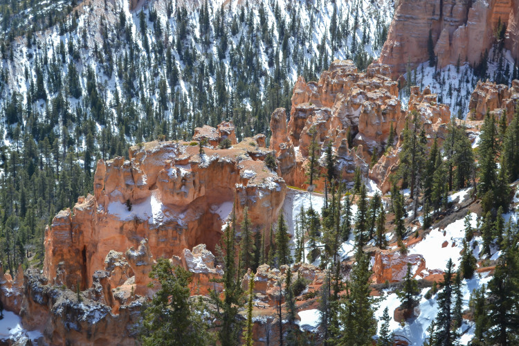 Bryce Canyon National Park in ONE day! You really can do a lot! // www.apassionandapassport.com