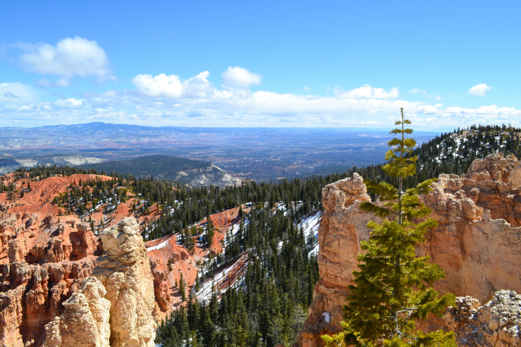 Bryce Canyon National Park in ONE day! You really can do a lot! // www.apassionandapassport.com