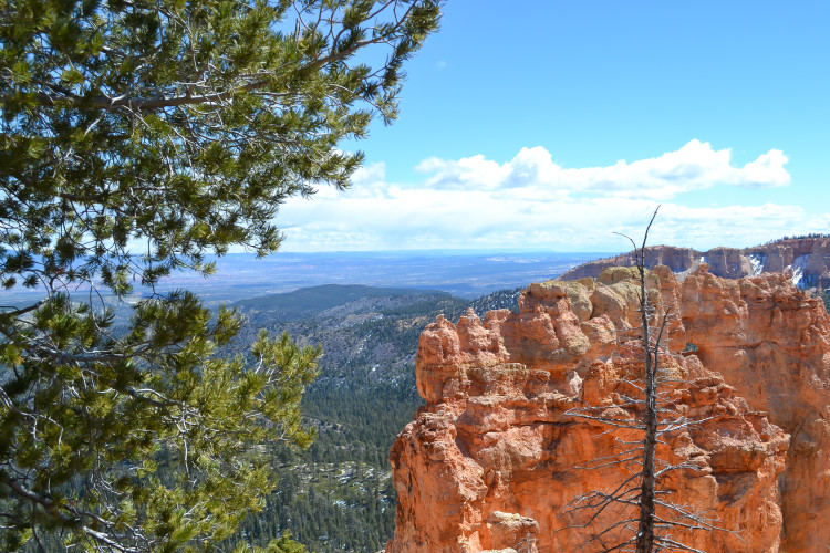 Bryce Canyon National Park in ONE day! You really can do a lot! // www.apassionandapassport.com