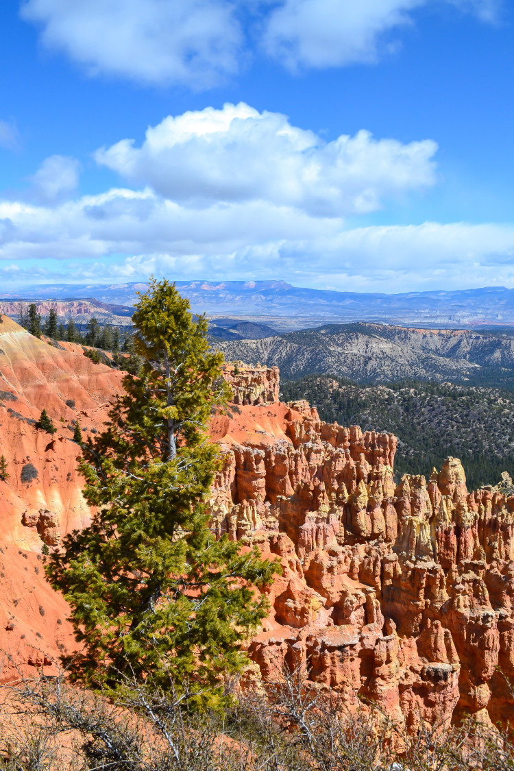 Bryce Canyon National Park in ONE day! You really can do a lot! // www.apassionandapassport.com