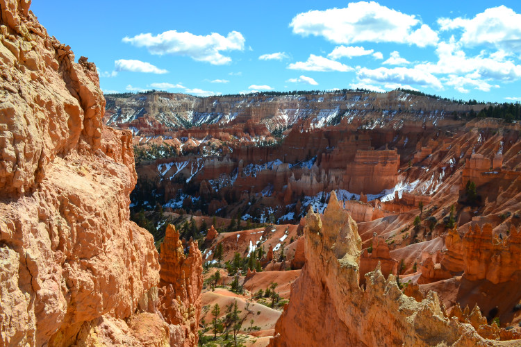 Hiking to the Hoodoos in Bryce Canyon National Park | www.apassionandapassport.com