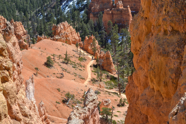 Hiking to the Hoodoos in Bryce Canyon National Park | www.apassionandapassport.com