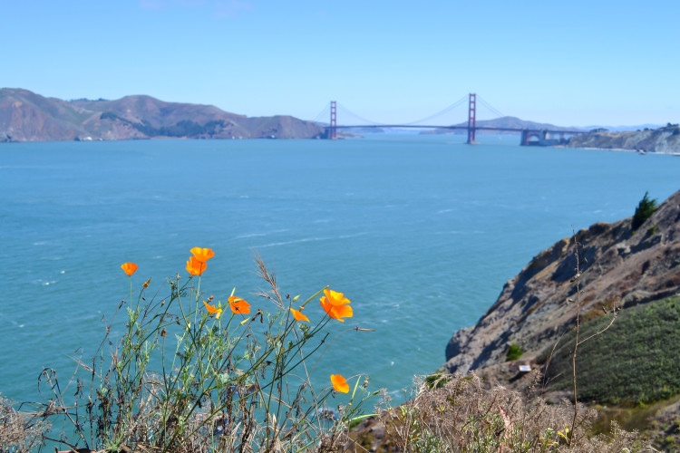 Best Places to See (and Photograph) the Golden Gate Bridge