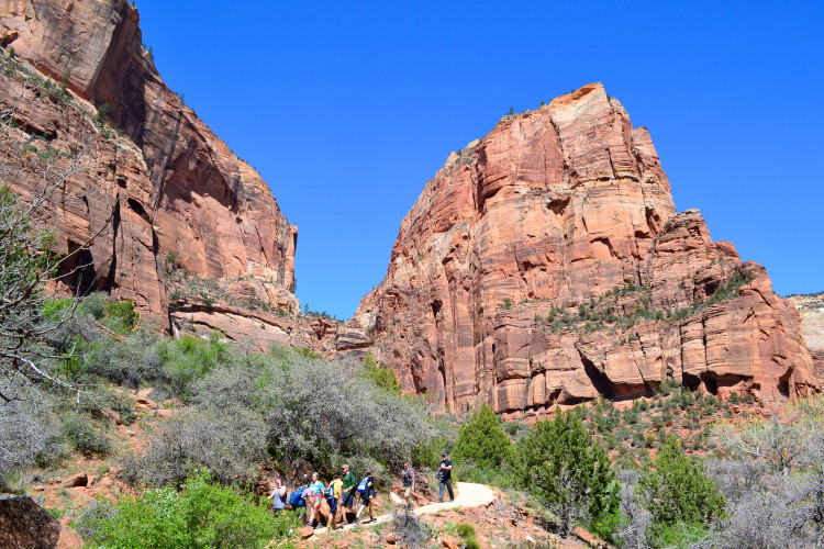 zion national park-21