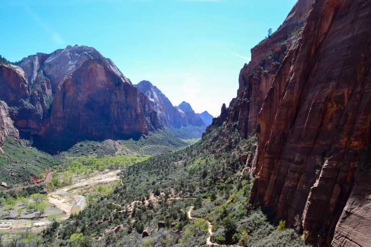 zion national park-39