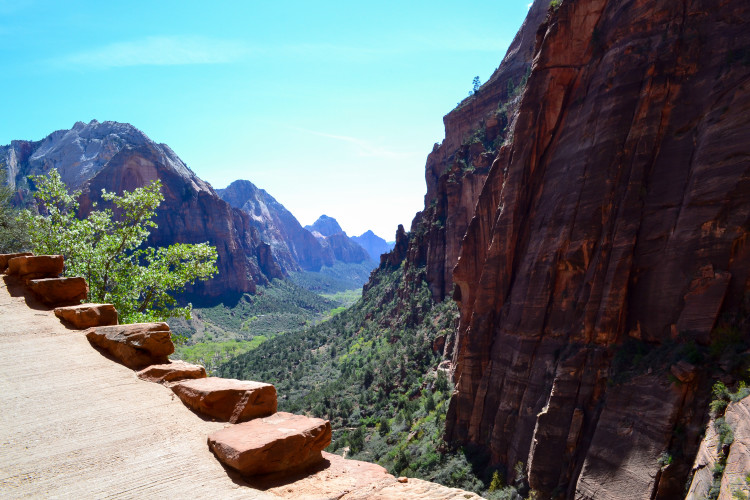 zion national park-42