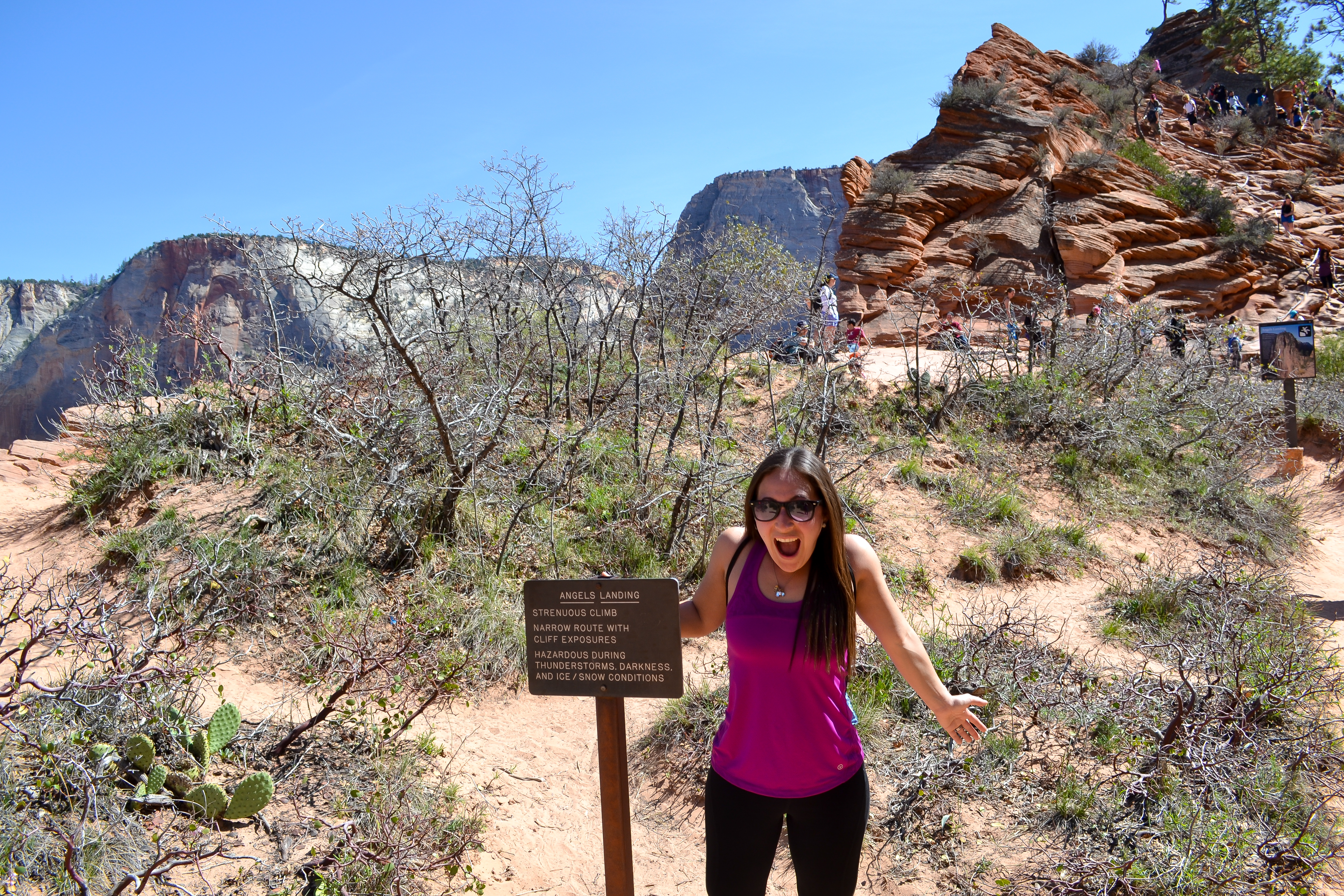 zion national park-64