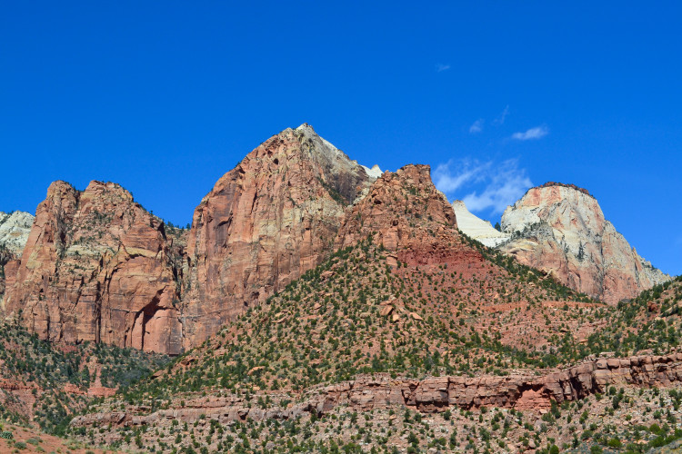 zion national park-7