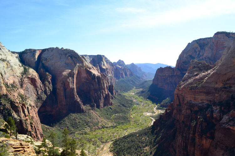 zion national park-78