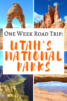 A One Week Roadtrip To All 5 of Utah's National Parks >> what to see in each one! Great Pin! Save for later! | www.apassionandapassport.com