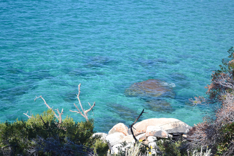 Driving around Lake Tahoe - all the best viewpoints, short hikes, and sandy beaches! The best Lake Tahoe drive there is!