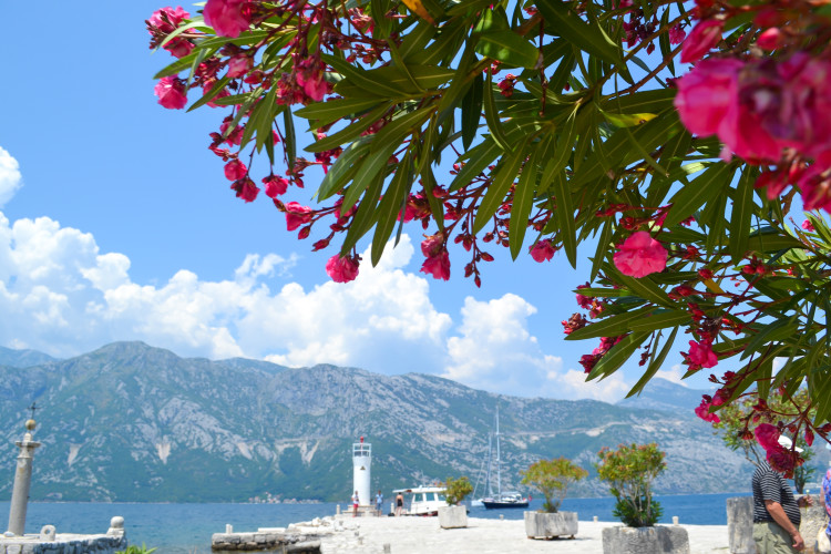 One Day in Kotor Montenegro >> where to get the best views and an itinerary on how to make the most of your day!