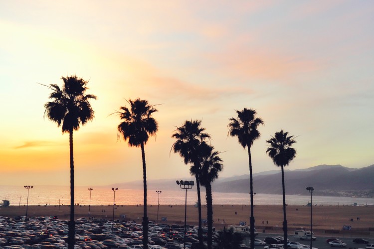 Heading to Southern California soon? Make sure to check out these hot spots in LA, Santa Monica, and Venice, including the best food, murals, and museums! LA and Santa Monica are full of character and are super trendy!