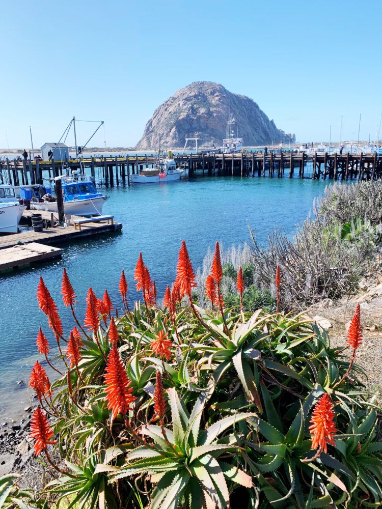 Road Trips from San Francisco: All the easiest escapes from the city!