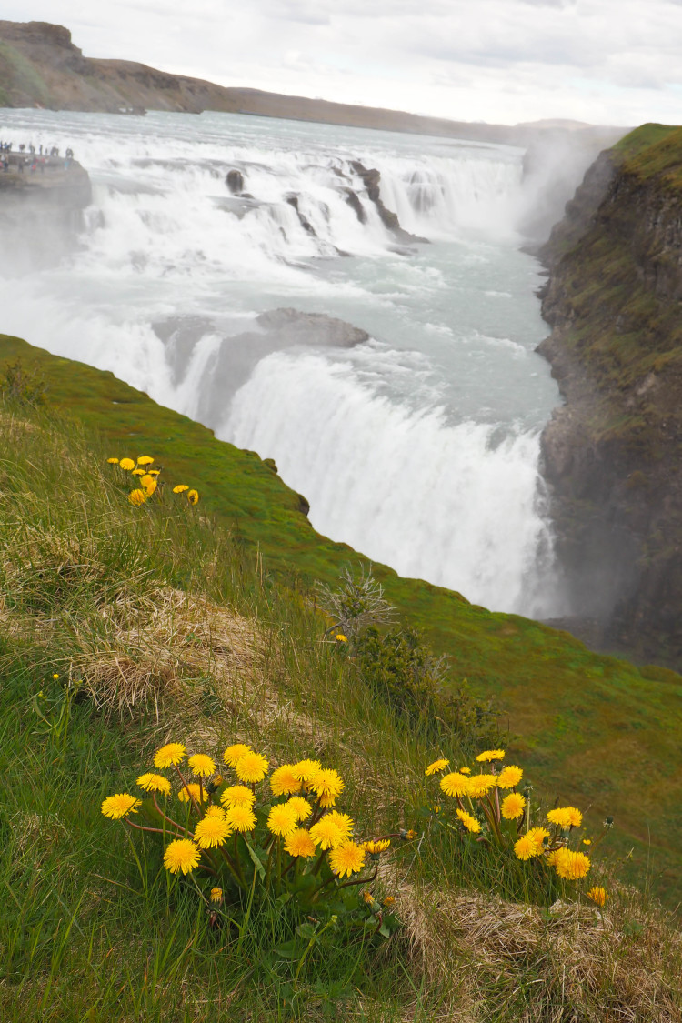 Stops on the Golden Circle in Iceland - the day tour you don't want to miss from Reykjavik. Definitely should be on your Iceland bucket list! So many gorgeous stops!