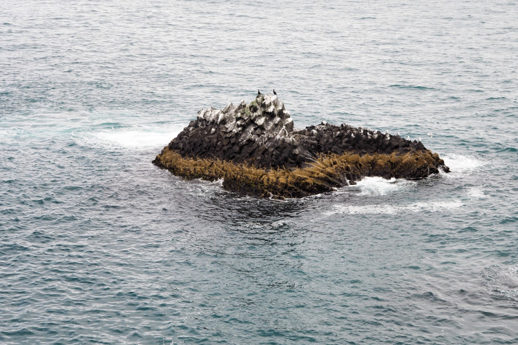 Stops on the Snaefellsness Peninsula Iceland: Arnarstapi Fishing Village