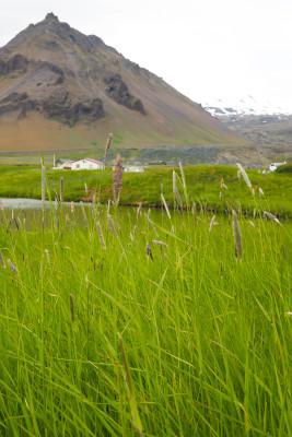 Stops on the Snaefellsness Peninsula Iceland: Arnarstapi Fishing Village
