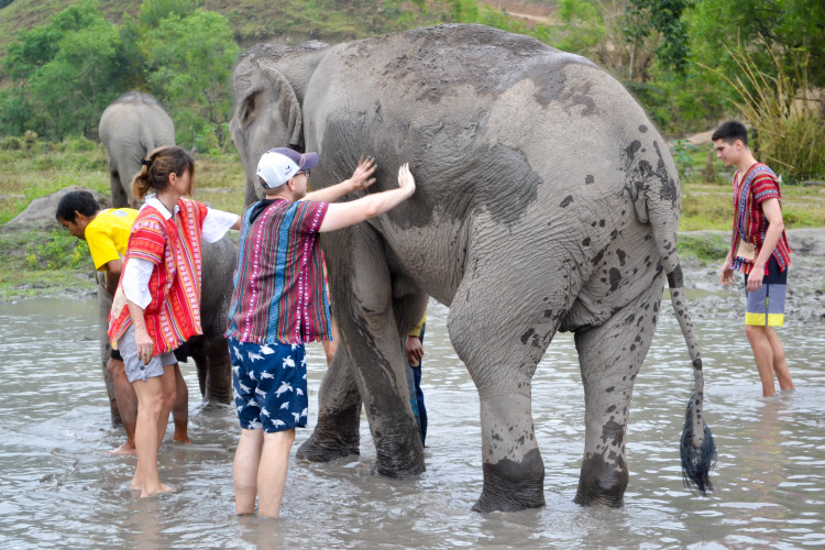 COMPLETE 2 Weeks in Thailand Itinerary!