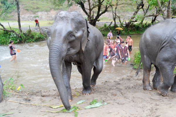 COMPLETE 2 Weeks in Thailand Itinerary! >> everything you need to know when planning your trip to Thailand: where to stay, what places to go, activities in each destination, and what to eat!