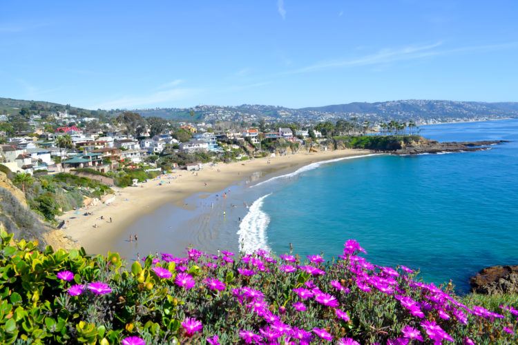 The ULTIMATE California Bucket List: Over 100 Things to do in the Golden State!