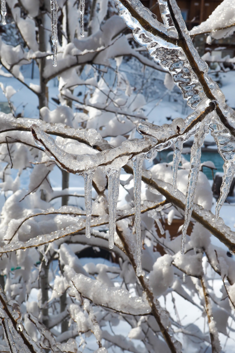 Come read about all the best things to do in Yosemite in the winter; plenty of spectacular photo stops and short wintery hikes included! Psst: Yosemite in March was absolutely stunning!